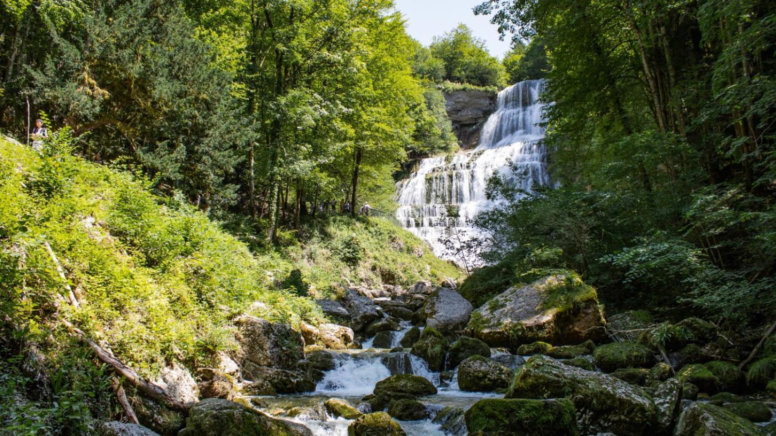 Appartamento T2 Cosy Au Coeur Du Haut-Jura, Parking Gratuit Morbier Esterno foto